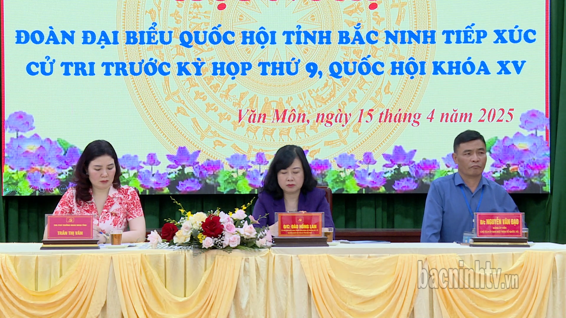 db_qh_txct_yp