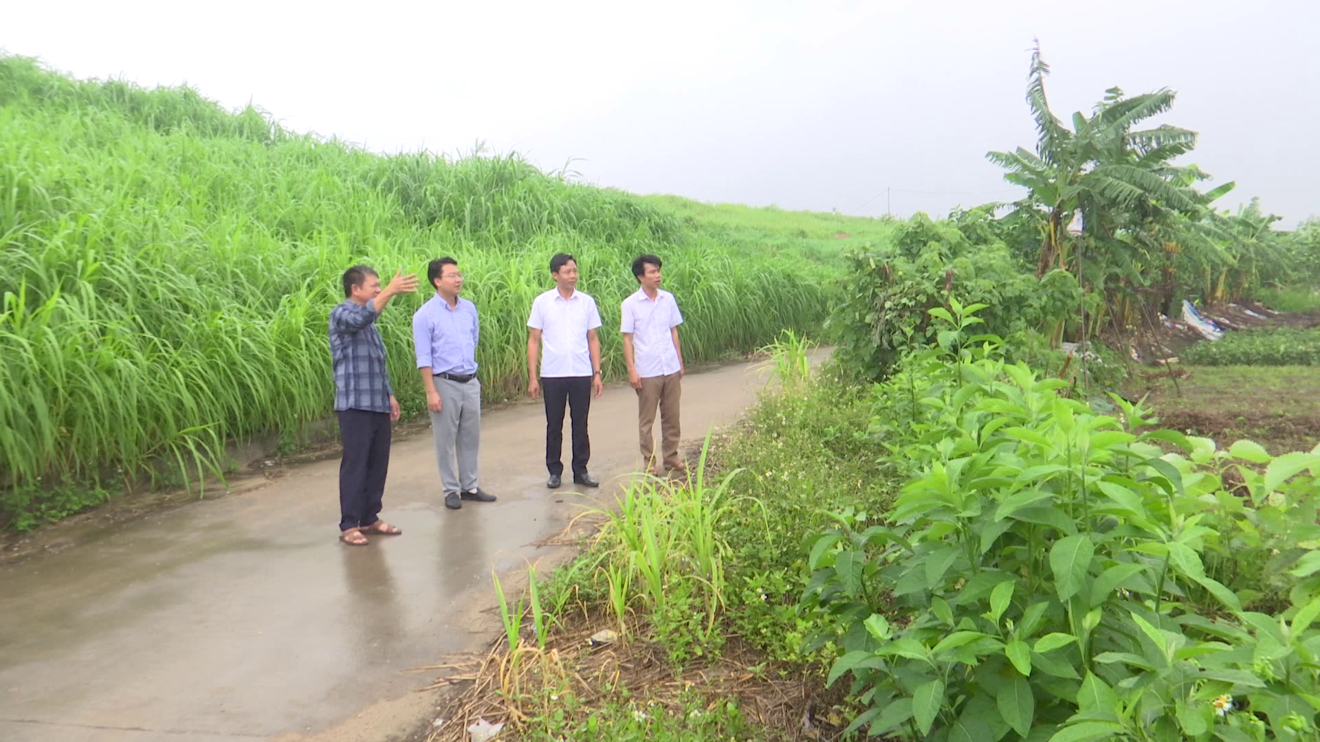 THUAN_THANH_CHU_DONG_PHONG_CHONG_THIEN_TAI(3)