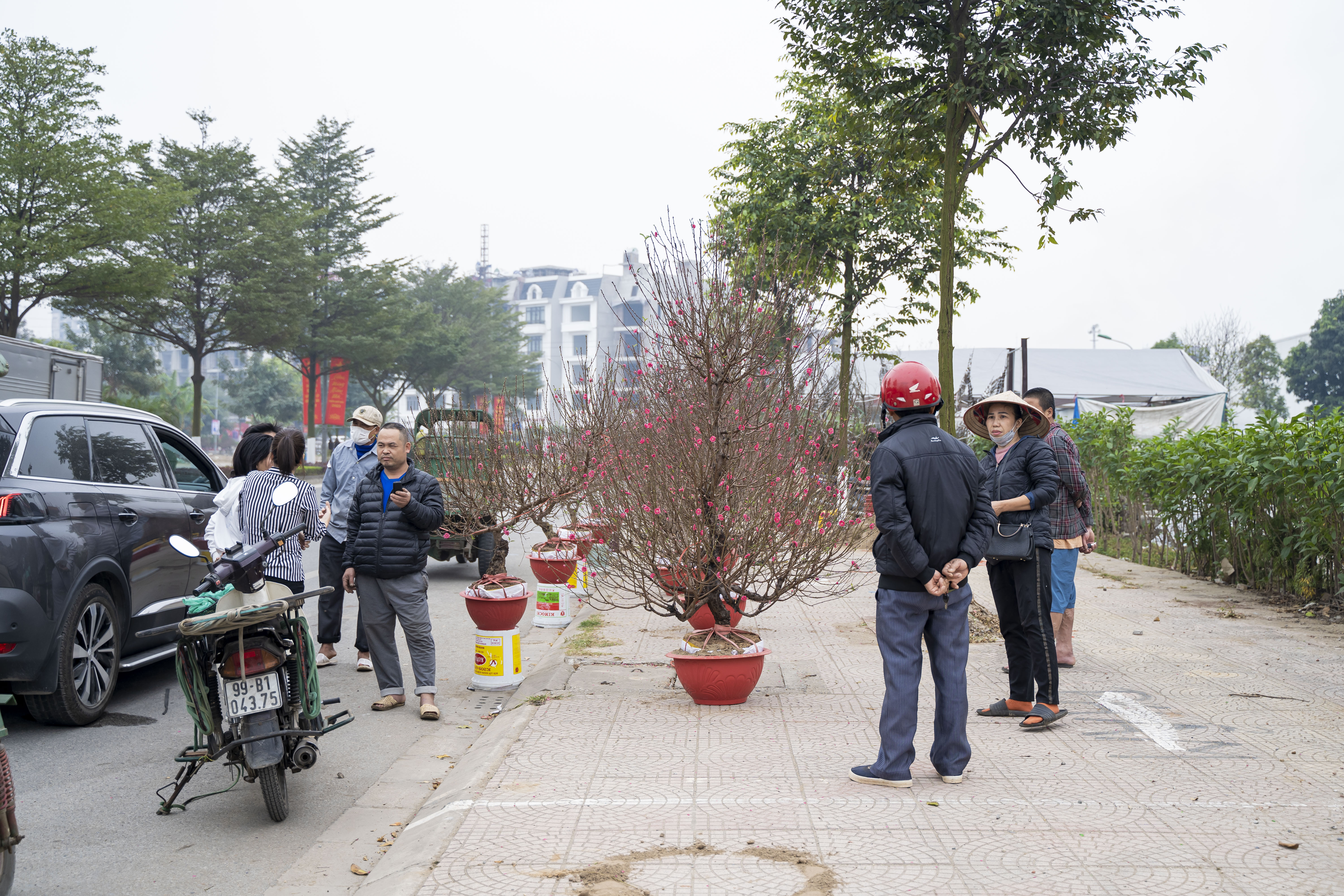 Năm 2024 sẽ là năm Đào Quất Tết Quý Mão, theo truyền thống Người Việt Nam. Đào và Quất là hai loại cây hoa cảnh được ưa thích trong dịp Tết Nguyên Đán, với ý nghĩa may mắn và tiền tài. Hãy cùng xem hình ảnh về Đào Quất Tết Quý Mão 2024 để cảm nhận rõ hơn sức sống và sắc đẹp của hai loại cây này.