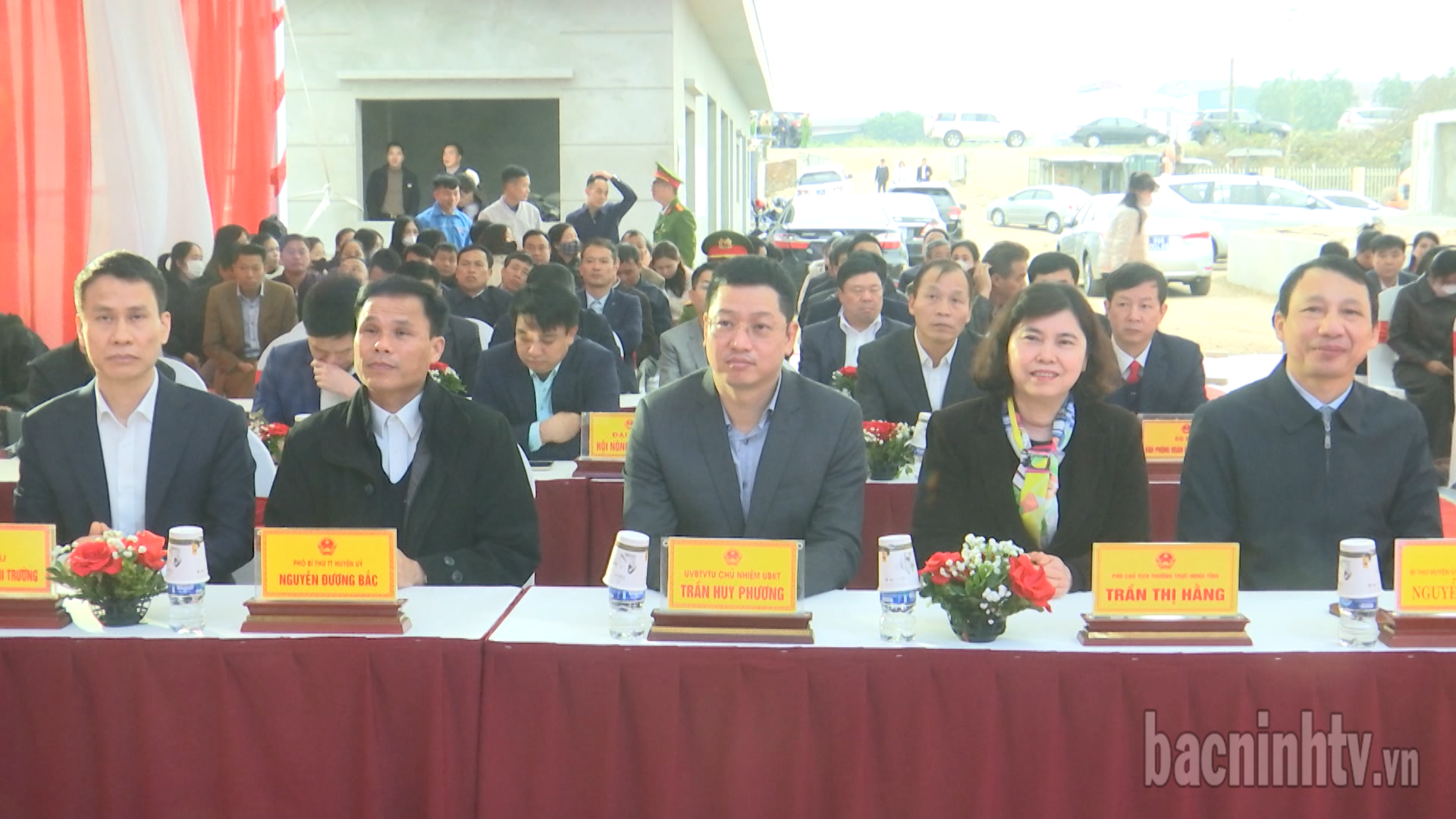 db_du_phat_dong_tien_du_trong_cay