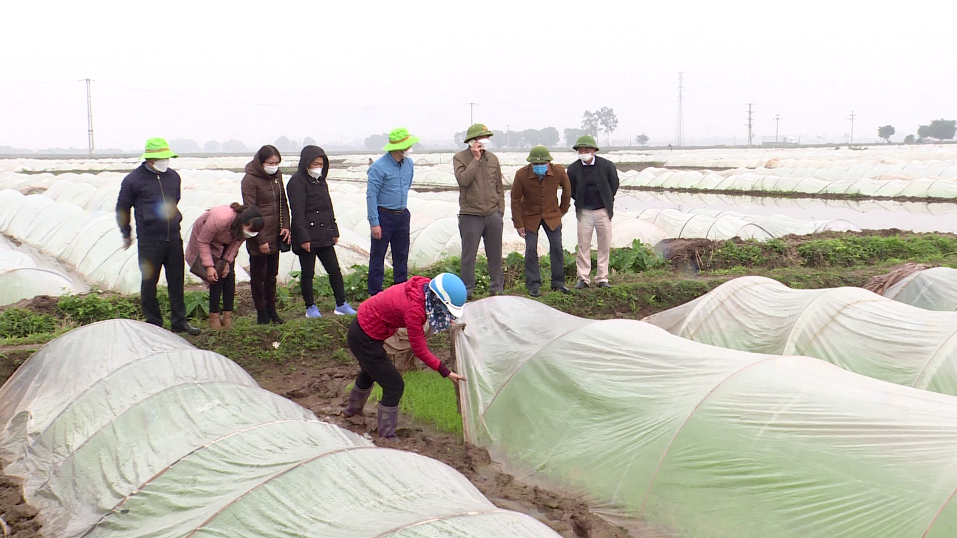 cac_dia_phuong_ung_pho_voi_ret_dam_ret_hai(1)