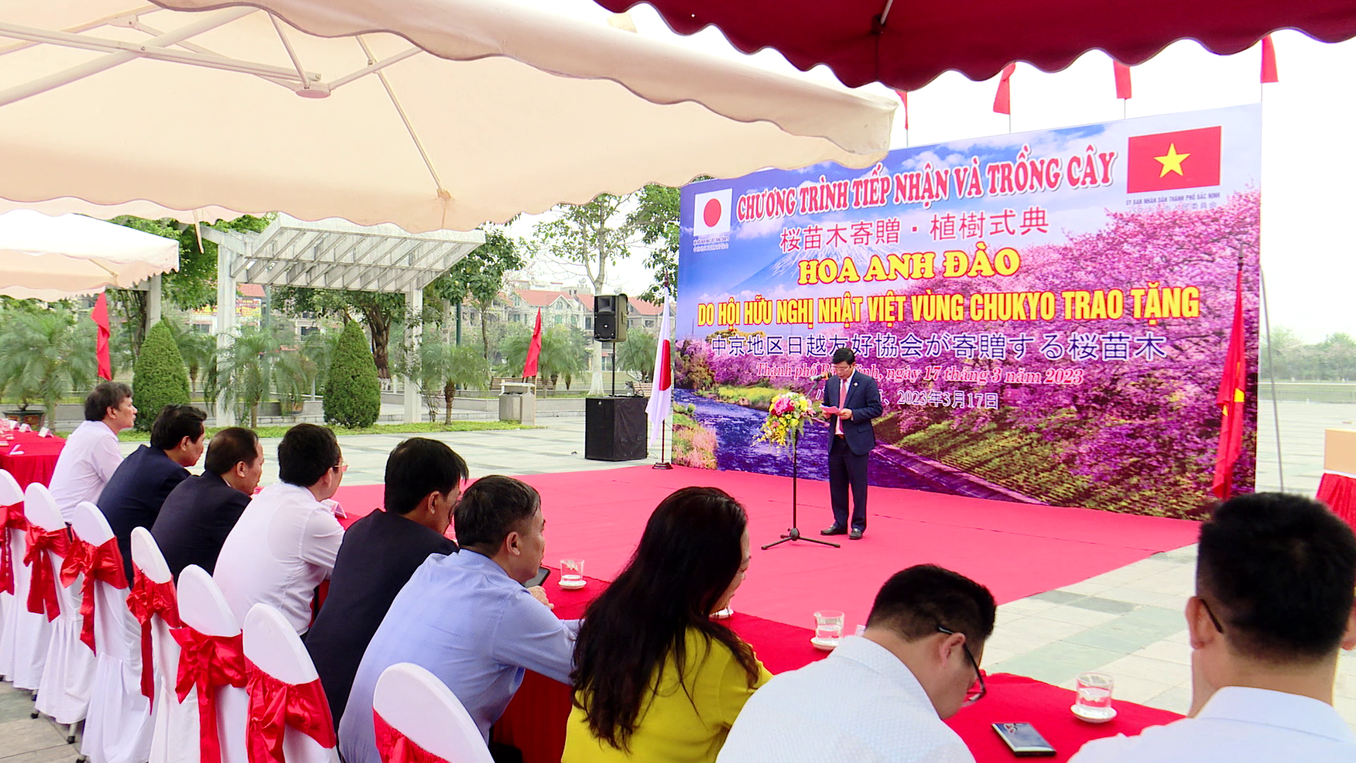 hoa_a_dao_dung_lai_ok(2)