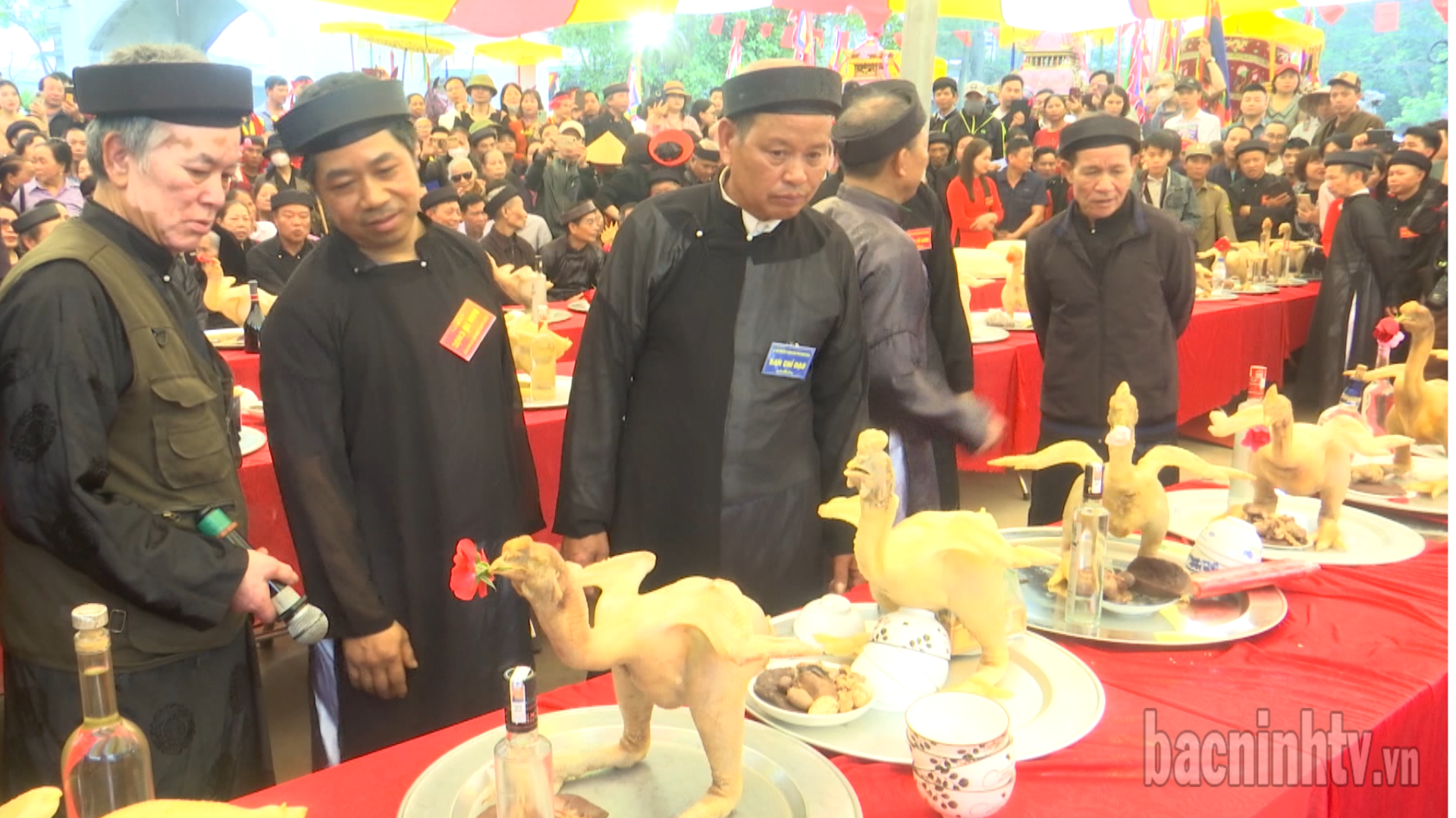 cham_thi_xoi_ga