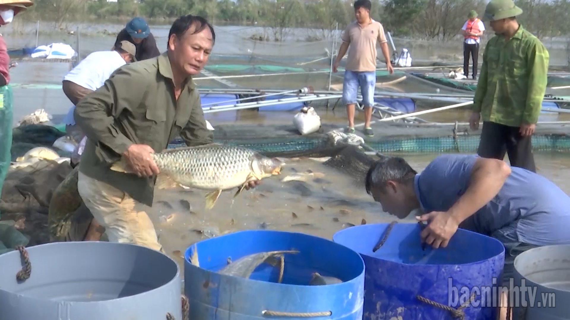 nguoi_dan_tranh_thu_thu_hoach_ca