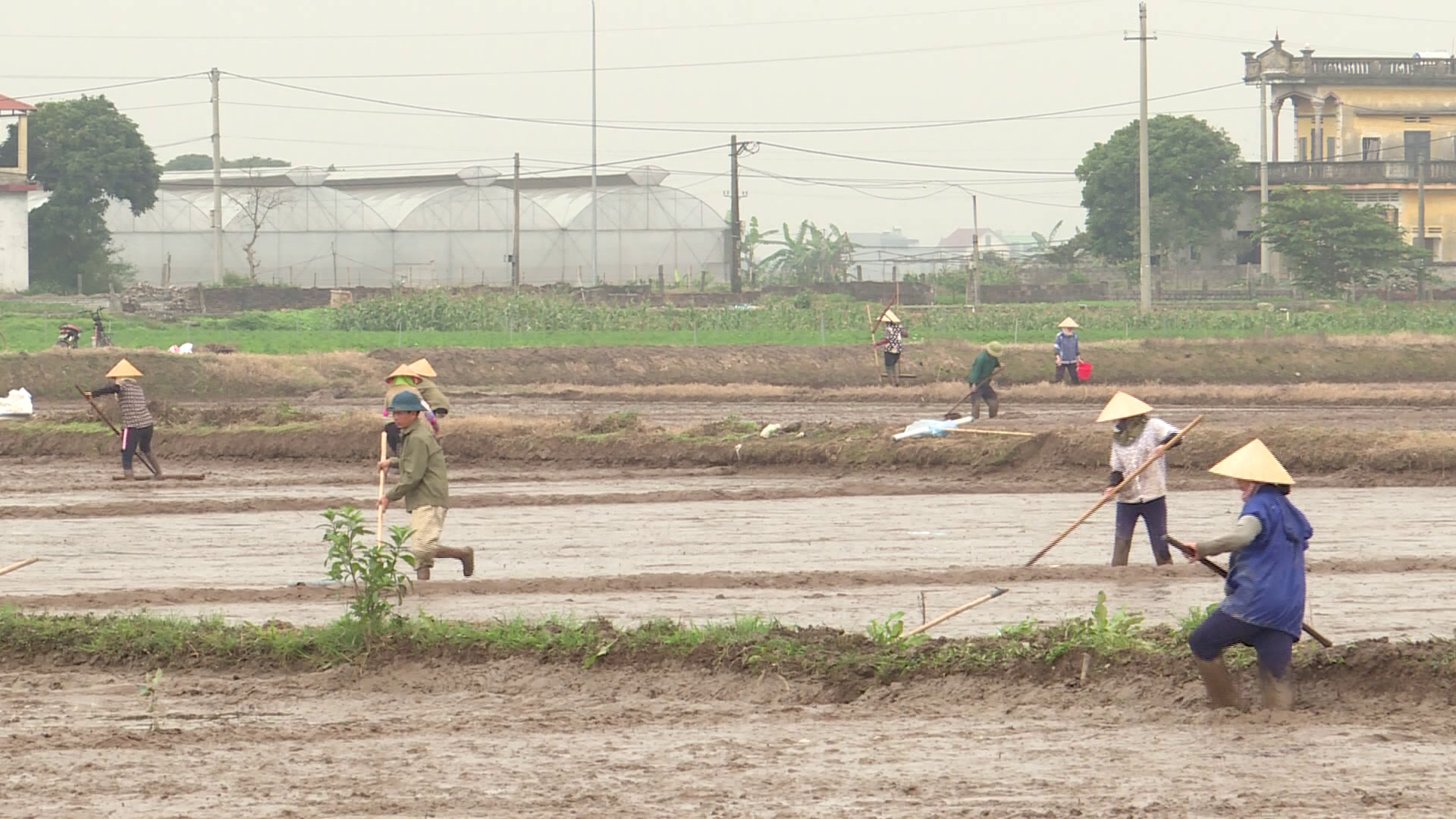 tap_trung_cham_soc_cay_lua_va_cau_mau_vu_xuan_2024(1).png