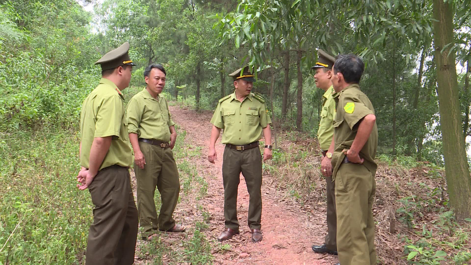 tang_cuong_quan_ly_phat_trien_bao_ve_rung(1)