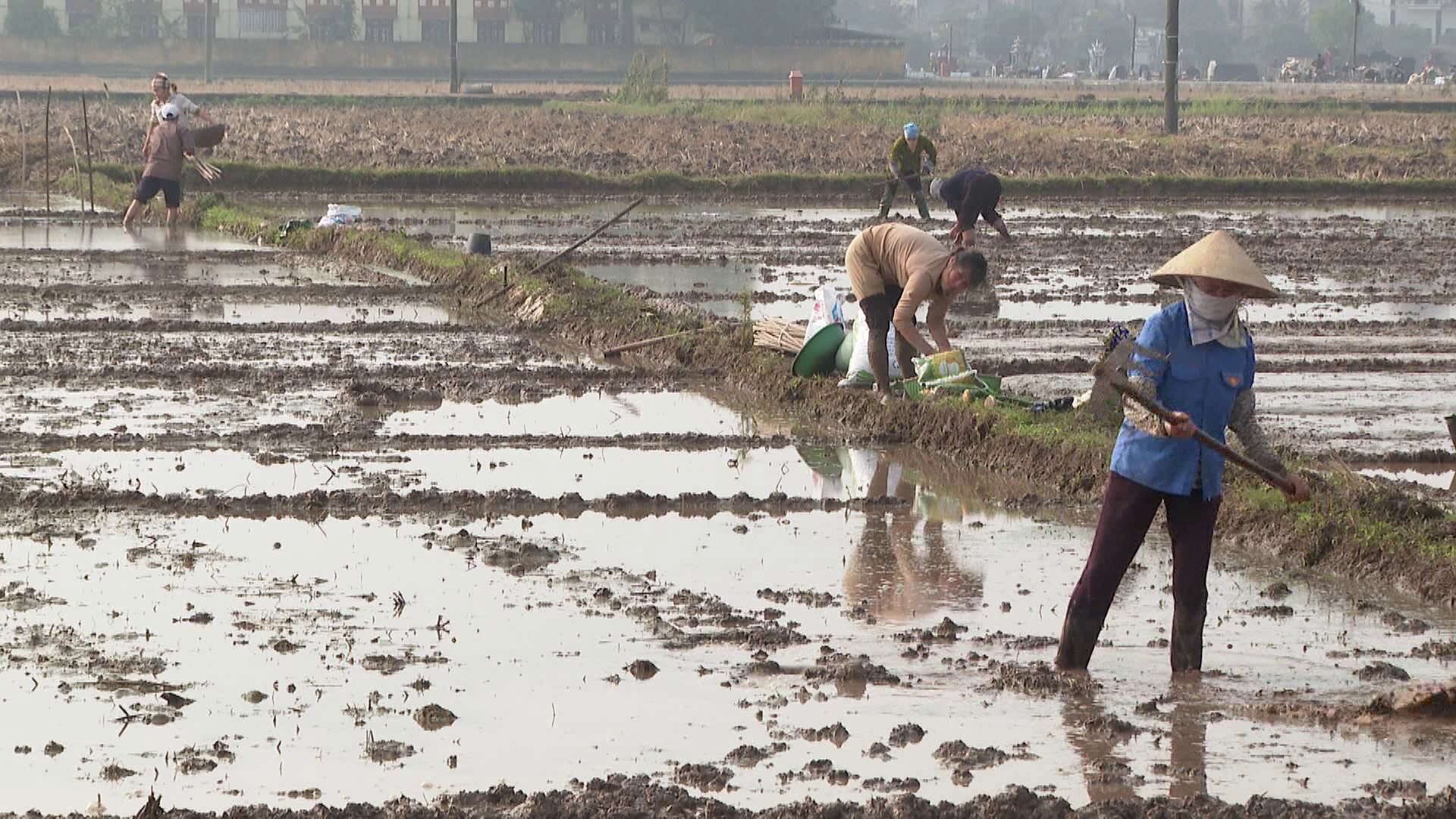 toan_tinh_do_ai_dat_13000ha(1)