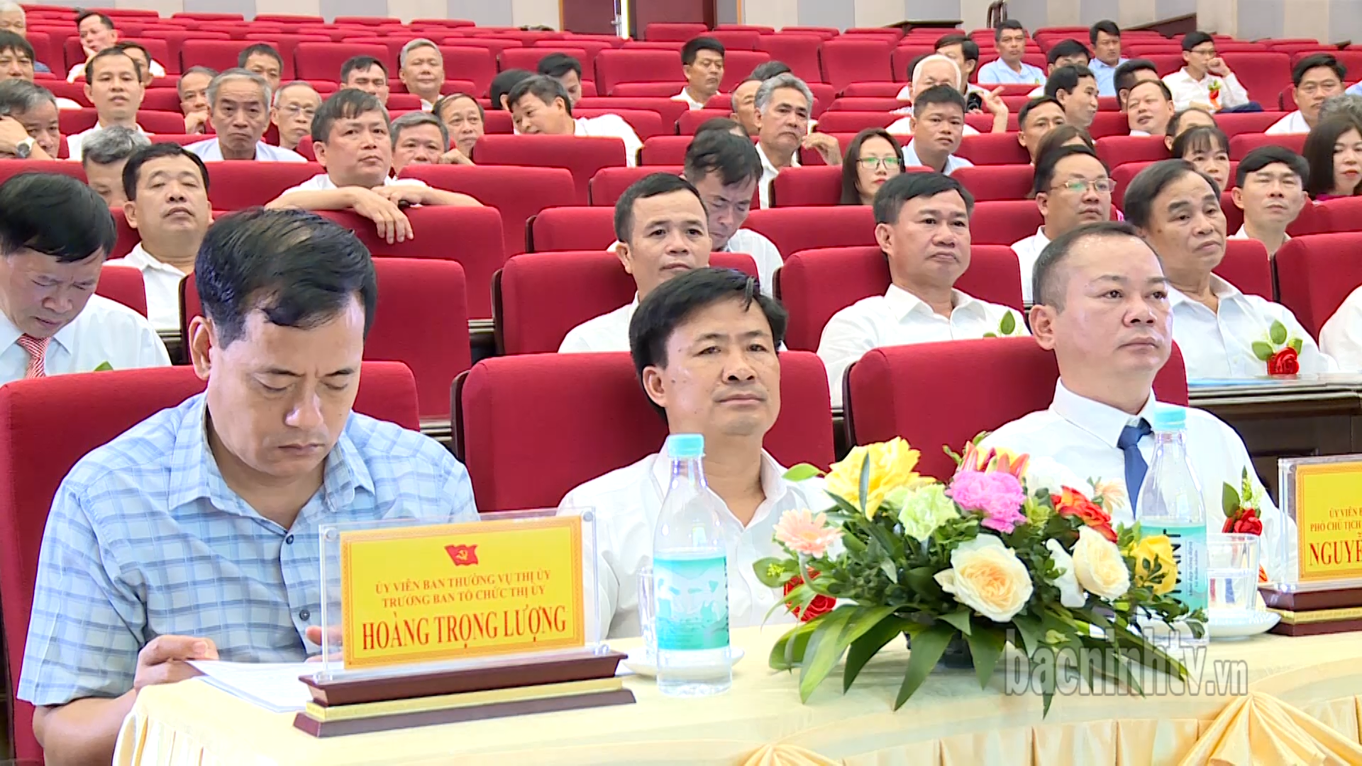 db_que_vo_bieu_duong